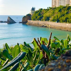 Meet your Posher, Savannah